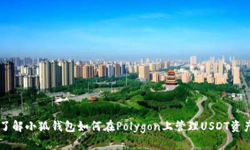 了解小狐钱包如何在Polygon上管理USDT资产