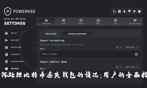 如何处理比特币丢失钱包的情况：用户的全面指南