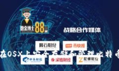 如何在OSX上安全存储和管