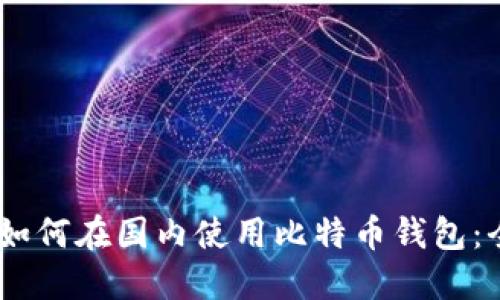 biasoti如何在国内使用比特币钱包：全面指南