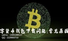 如何解决数字货币钱包下