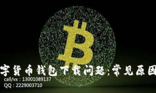 如何解决数字货币钱包下载问题：常见原因及解决方案