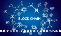 数字货币采用：全面解析