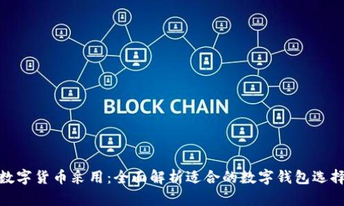 数字货币采用：全面解析适合的数字钱包选择