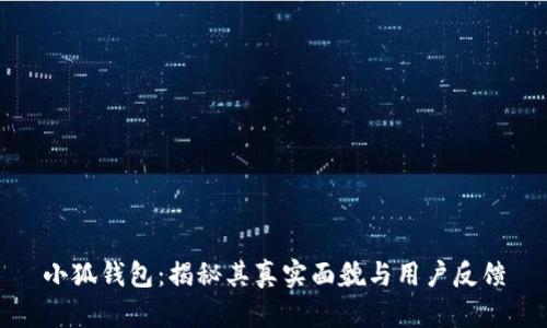 小狐钱包：揭秘其真实面貌与用户反馈