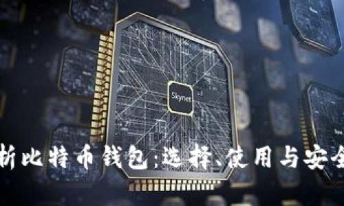 全面解析比特币钱包：选择、使用与安全性指南