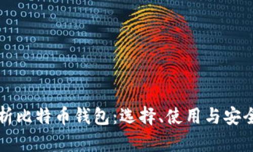 全面解析比特币钱包：选择、使用与安全性指南