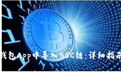 如何在小狐钱包App中导入BSC链：详细指南与使用技巧