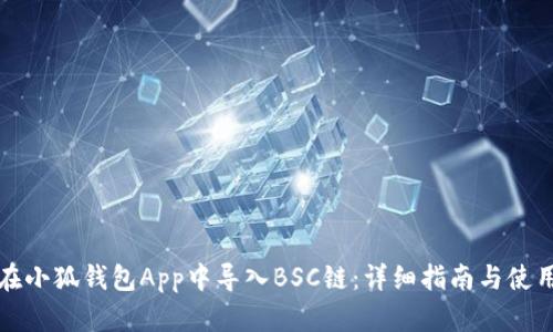 如何在小狐钱包App中导入BSC链：详细指南与使用技巧