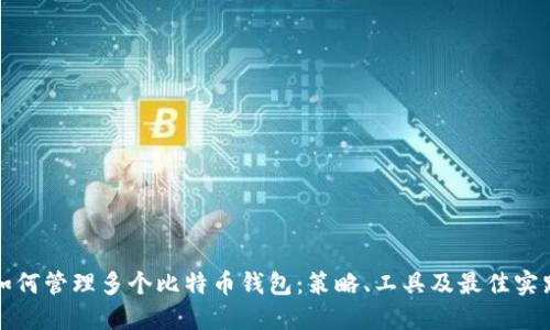 如何管理多个比特币钱包：策略、工具及最佳实践