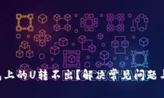 TRUST钱包上的U转不出？解决常见问题与技巧指南