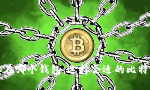 比特币保存在哪个钱包：选择合适的比特币钱包方案