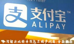 如何解决比特币钱包不同步问题：全面指南