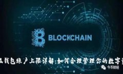 小狐钱包账户上限详解：如何合理管理你的数字