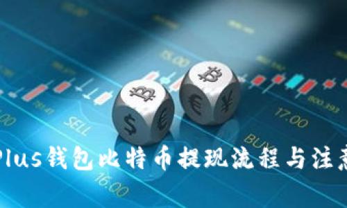 详解Plus钱包比特币提现流程与注意事项
