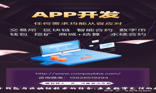 电子钱包与区块链技术的结合：未来数字支付的趋势