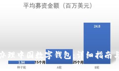 如何办理中国数字钱包：详细指南与步骤