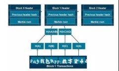 全面解析CGPay钱包App：数字货币的安全与便捷