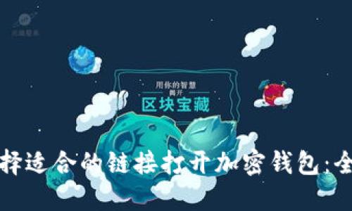 如何选择适合的链接打开加密钱包：全面指南