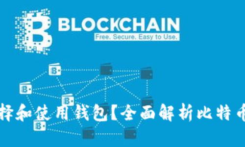 购买比特币后如何选择和使用钱包？全面解析比特币钱包的类型及安全性