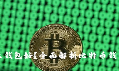 存比特币用什么钱包好？全面解析比特币钱包的选择与使用