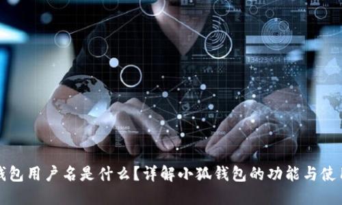 小狐钱包用户名是什么？详解小狐钱包的功能与使用方法