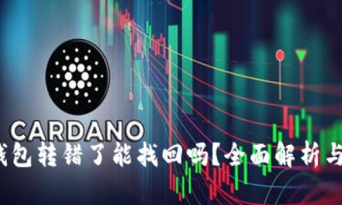  比特派钱包转错了能找回吗？全面解析与解决方案