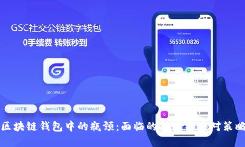区块链钱包中的瓶颈：面临的挑战与应对策略