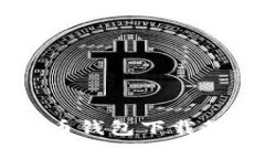 易懂的加密货币钱包下载