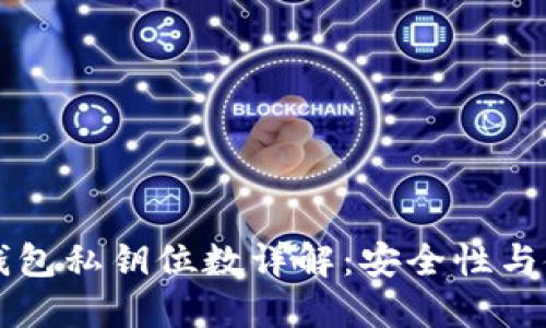 比特币钱包私钥位数详解：安全性与使用指南