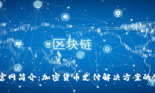 BitPay官网简介：加密货币支付解决方案的领先平台
