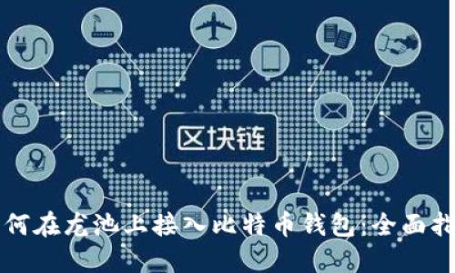 如何在龙池上接入比特币钱包：全面指南