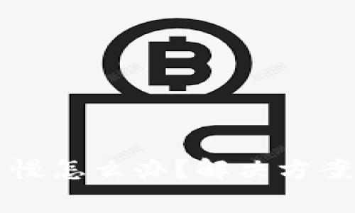 比特派钱包提币慢怎么办？解决方案与常见问题解析