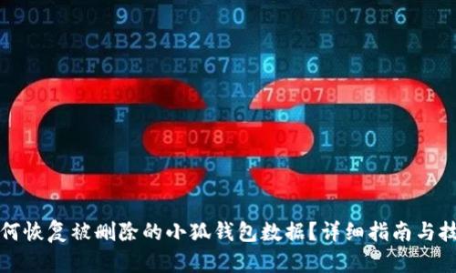 如何恢复被删除的小狐钱包数据？详细指南与技巧