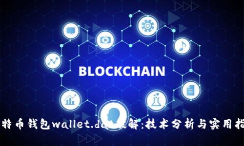比特币钱包wallet.dat破解：技术分析与实用指南