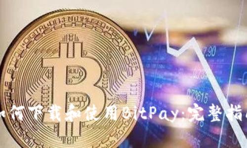 如何下载和使用BitPay：完整指南