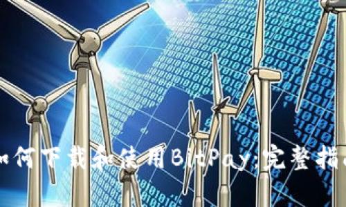 如何下载和使用BitPay：完整指南