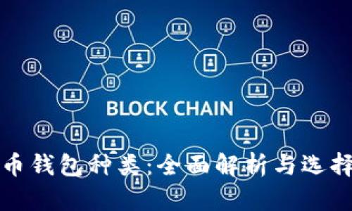 数字币钱包种类：全面解析与选择指南