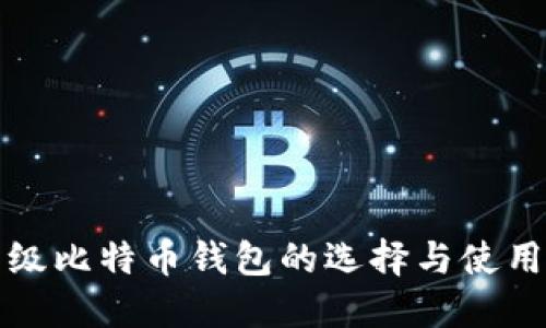 轻量级比特币钱包的选择与使用指南