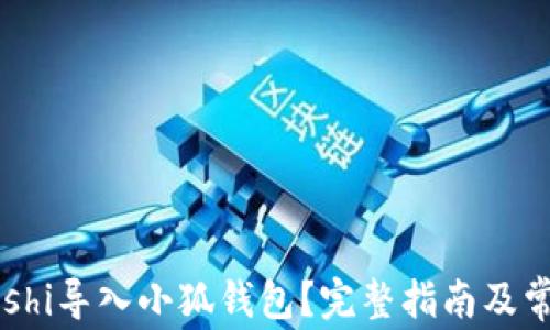 
如何将Satoshi导入小狐钱包？完整指南及常见问题解答