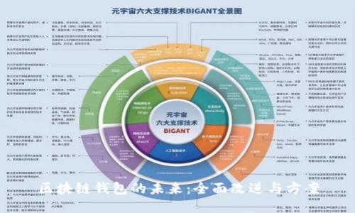 区块链钱包的未来：全面改进与方案