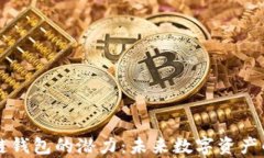 区块链钱包的潜力：未来数字资产的金库