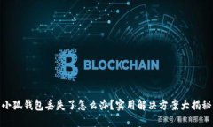 小狐钱包丢失了怎么办？实用解决方案大揭秘