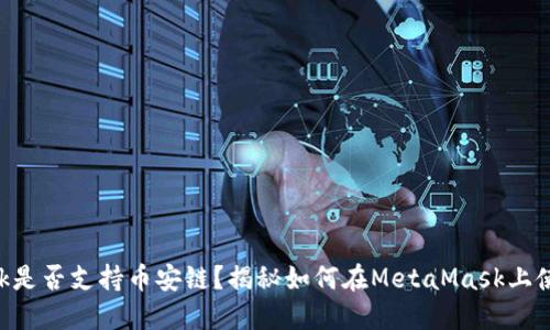 MetaMask是否支持币安链？揭秘如何在MetaMask上使用币安链