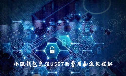 小狐钱包充值USDT的费用和流程揭秘