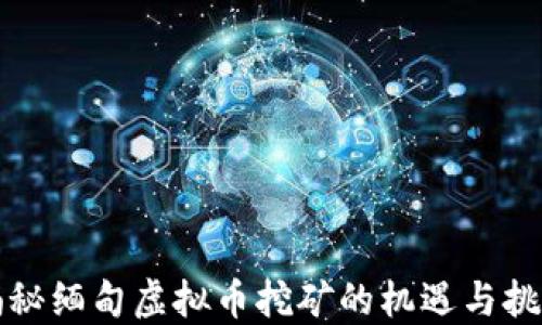 
揭秘缅甸虚拟币挖矿的机遇与挑战