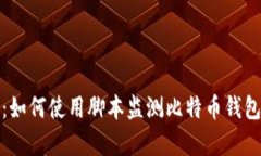 全面解析：如何使用脚本监测比特币钱包的安全