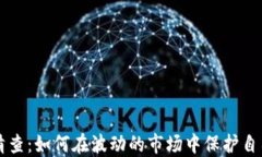 虚拟币清查：如何在波动的市场中保护自己的资