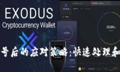 小狐钱包被盗号后的应对策略：快速处理和保障