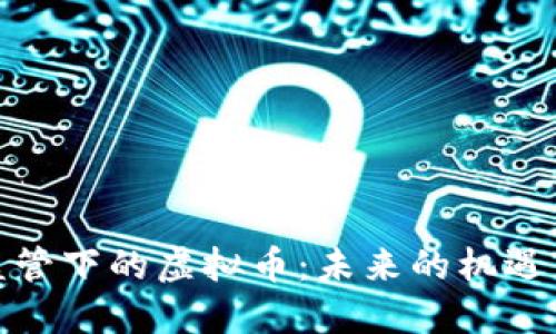 金融监管下的虚拟币：未来的机遇与挑战